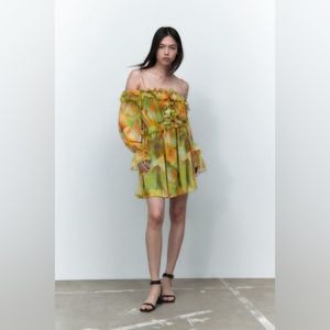 ZARA Printed Tulle Dress